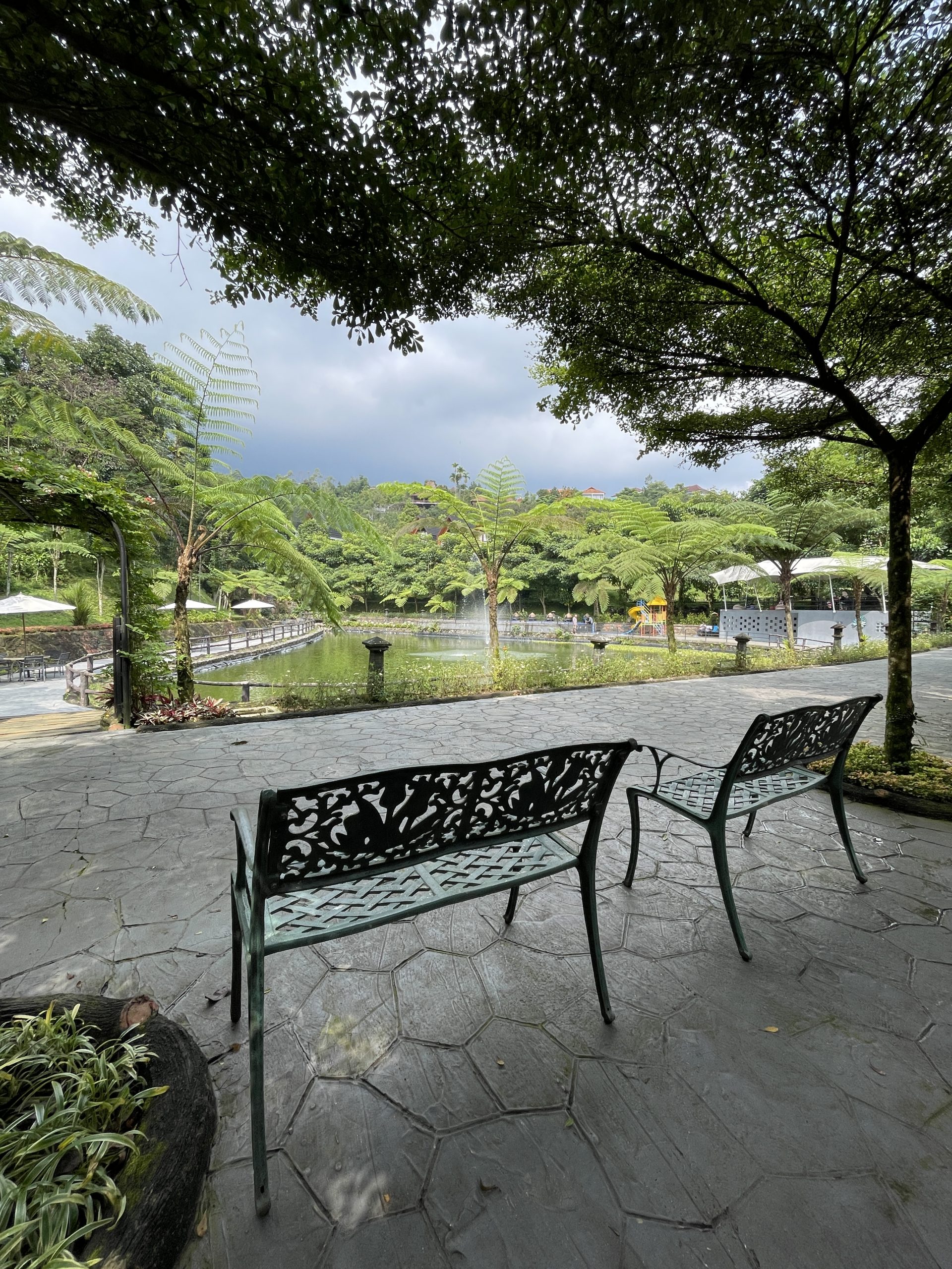 IMG_3595